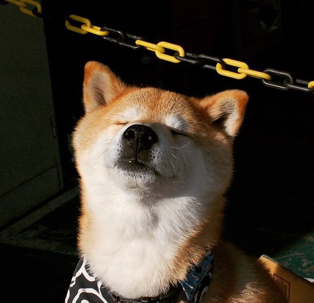 熊猫体育网站入口-《2025英雄联盟全球总决赛，最强战队终极较量》，2030年英雄联盟全球总决赛