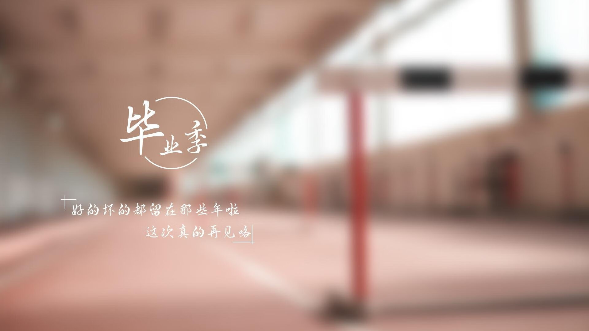 太阳队在客场逆转骑士，布克在最后一秒投中关键三分！，太阳队布克是黑人还是白人