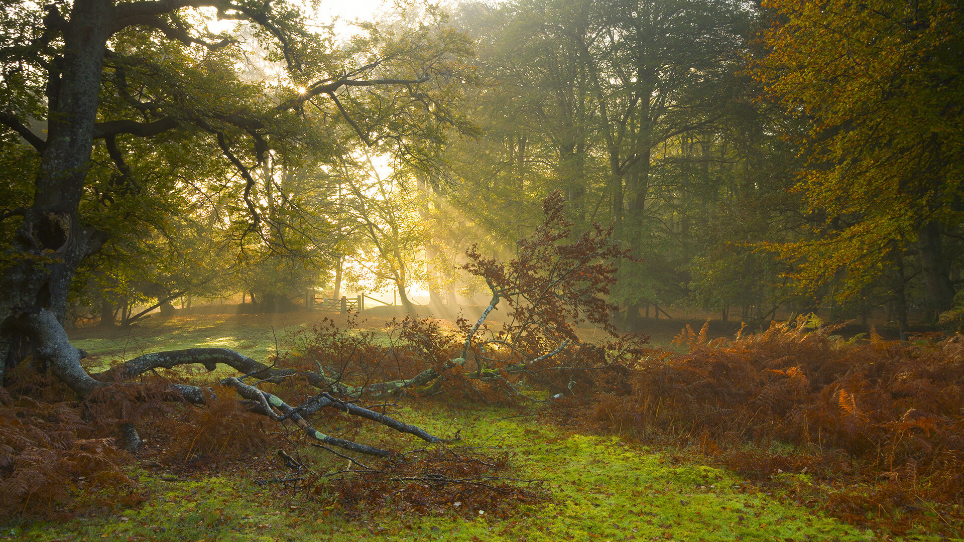 四川男篮胜出，球员士气高昂信心满满！，四川男篮战况