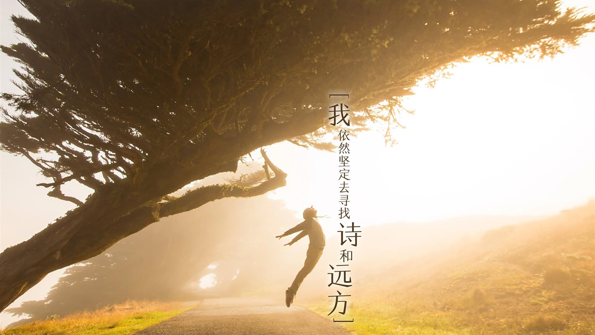 是否应规范主帅比赛中战术手势标准，主帅的旗帜叫什么