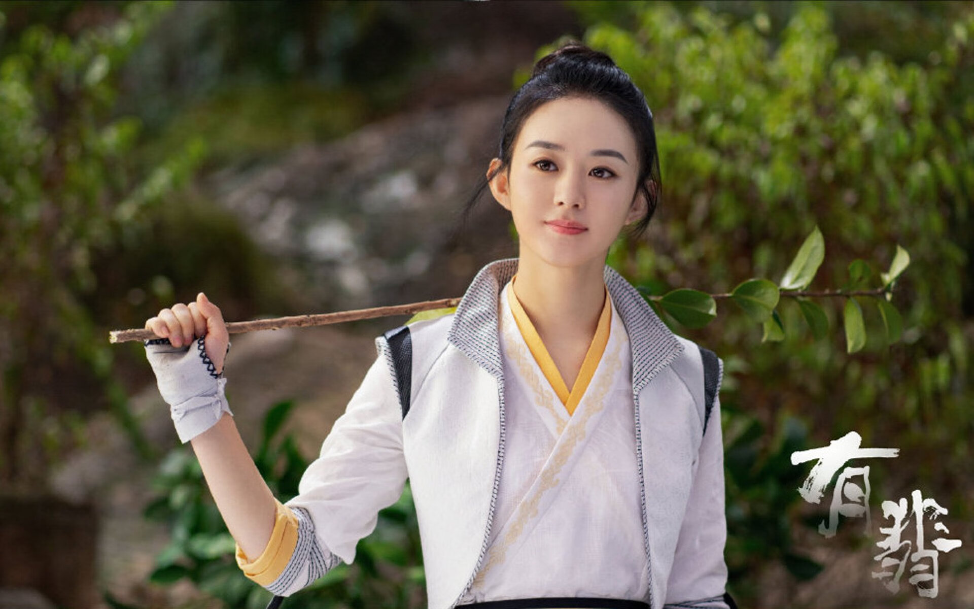 桑托斯调整战术阵型,桑托斯ds