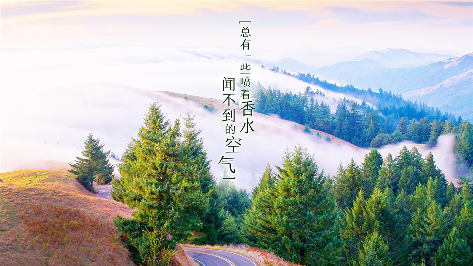 “飞盘竞技：三叉湖田径场成全球飞盘高手的竞技场”