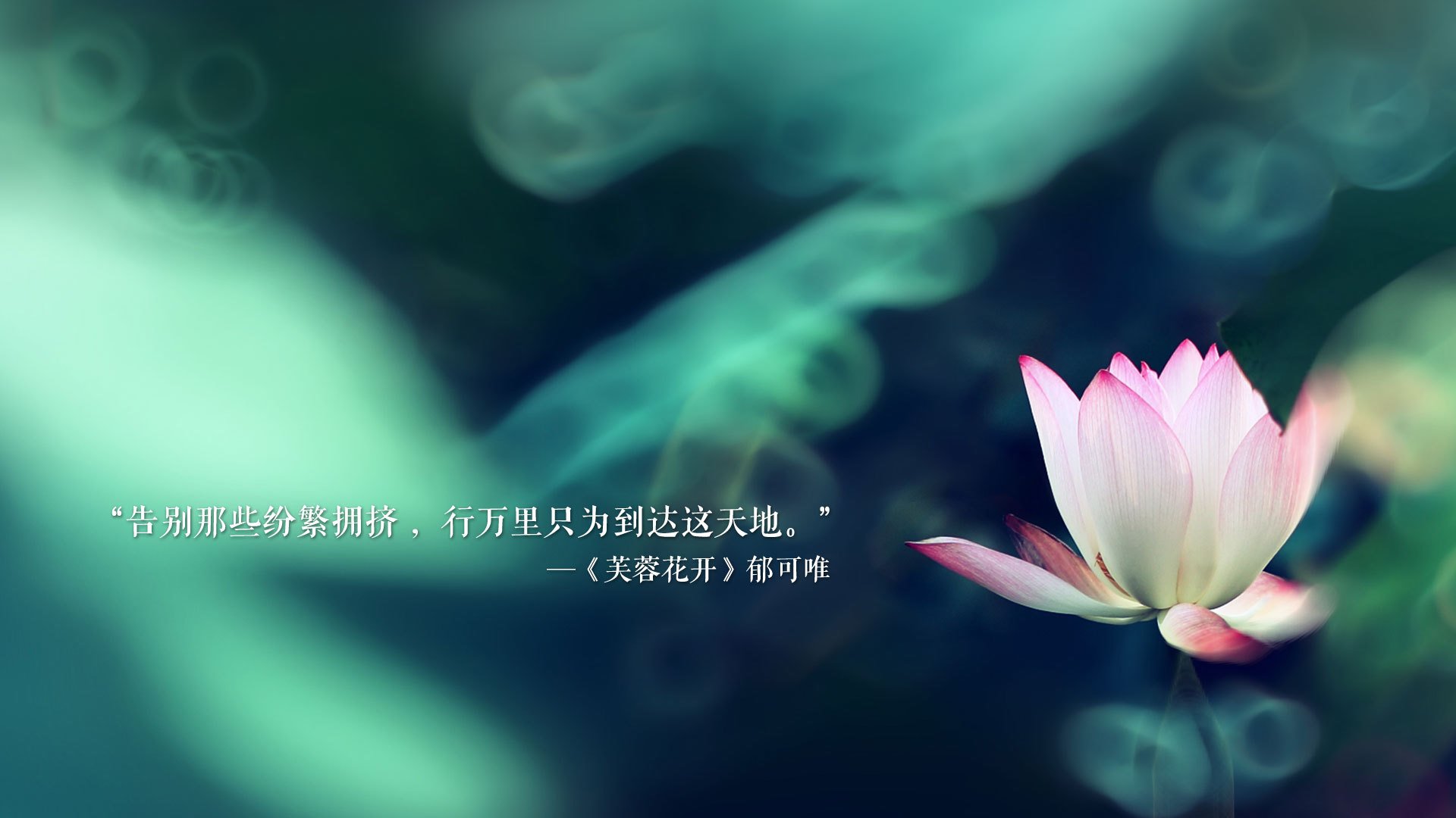 皇家贝蒂斯通过中路渗透创造良机，皇家贝蒂斯是谁的小弟