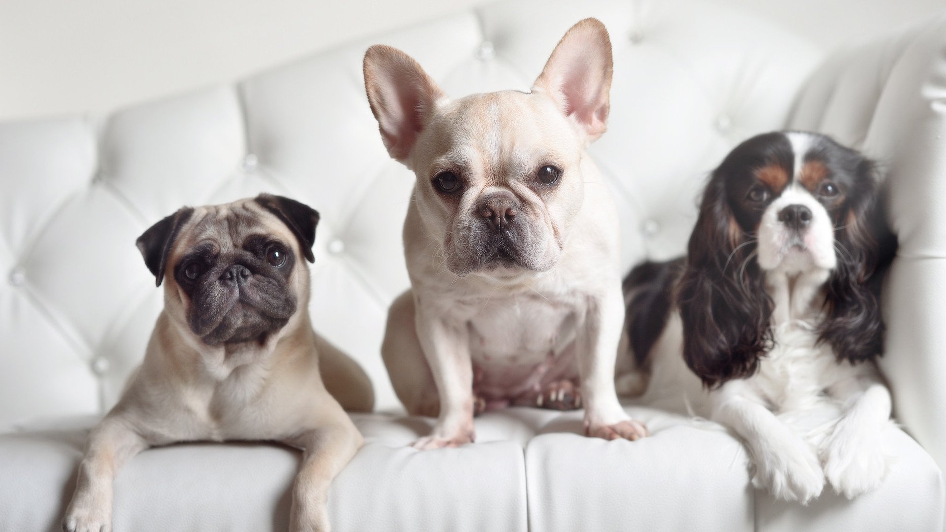 足球文化创新缺乏动力,足球的创新点在哪里