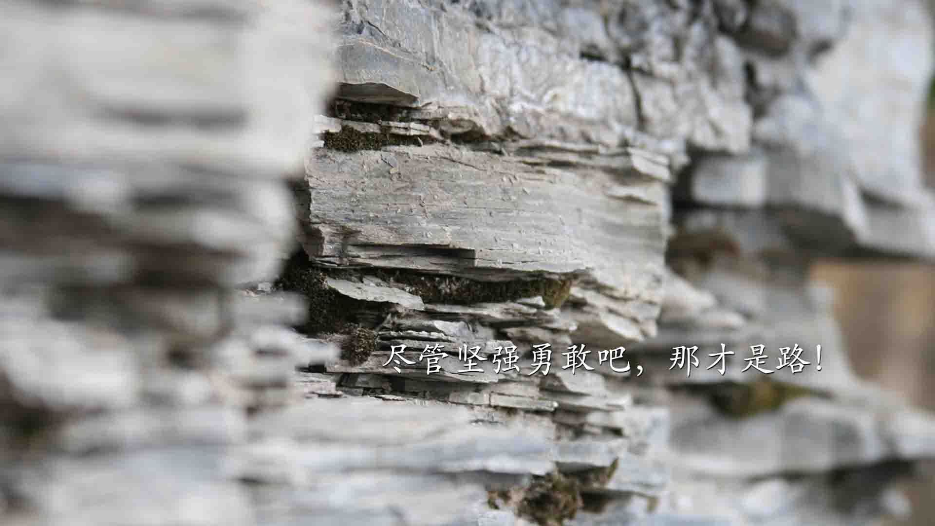 防守战术哪套最有效录像拆解,防守战术基础配合方法