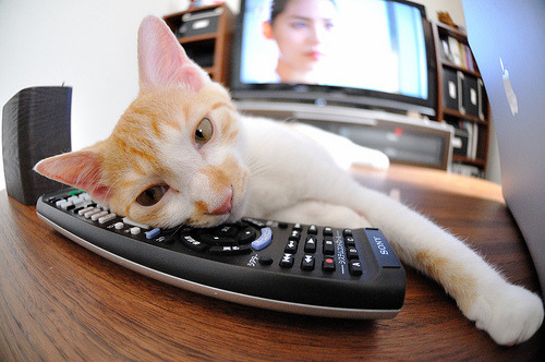 熊猫直播-马竞防守反击策略再显成效，马竞是防守反击吗