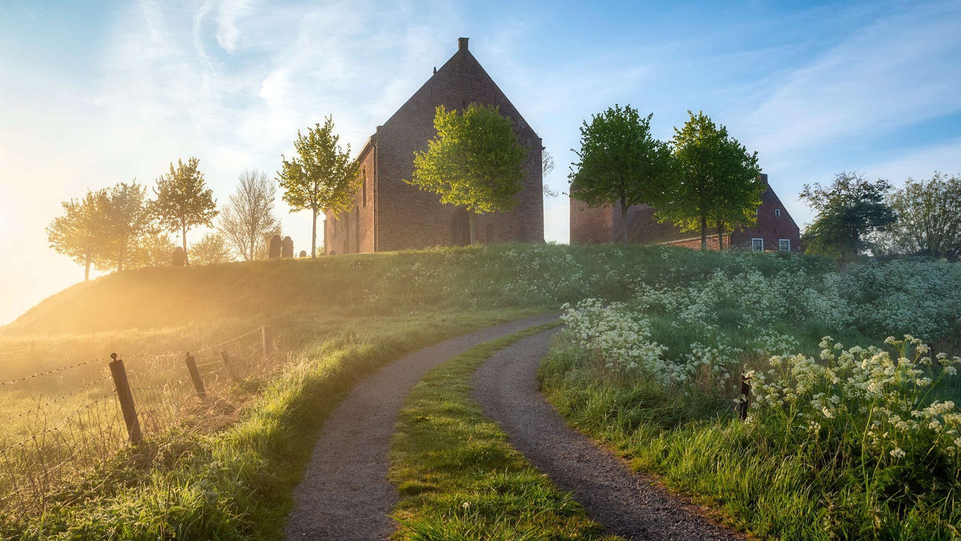 熊猫体育平台-“萨尔·巴赫助力南非羚羊队以完美表现制胜”