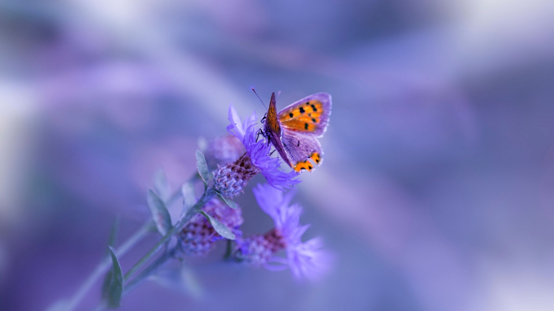 中国篮球融合电竞元素尝试虚拟训练模拟系统,cba篮球模拟游戏