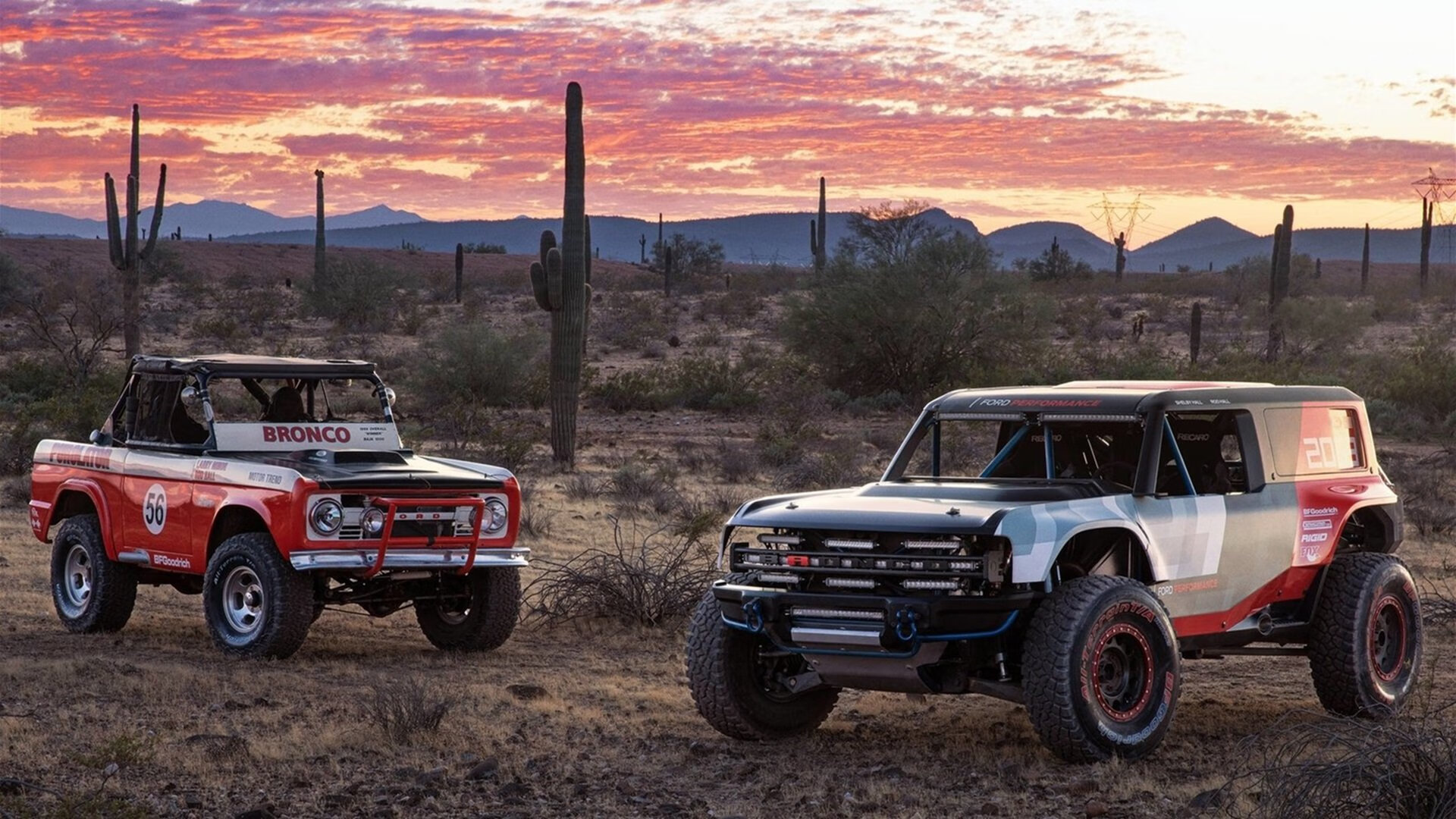 熊猫体育网站入口-南非橄榄球崛起：年轻力量推动新一轮巅峰，南非 橄榄球