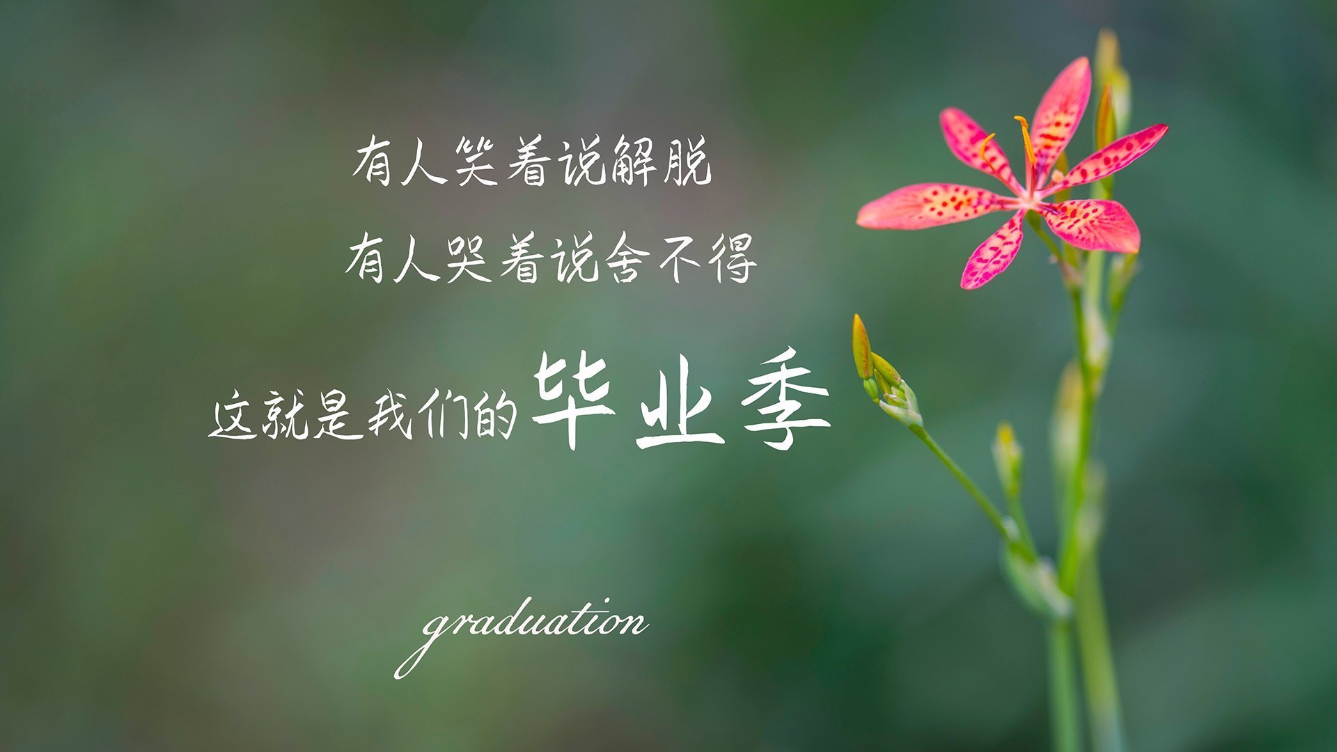 塔图姆带动球队节奏比赛控制得当，塔图姆水平怎么样