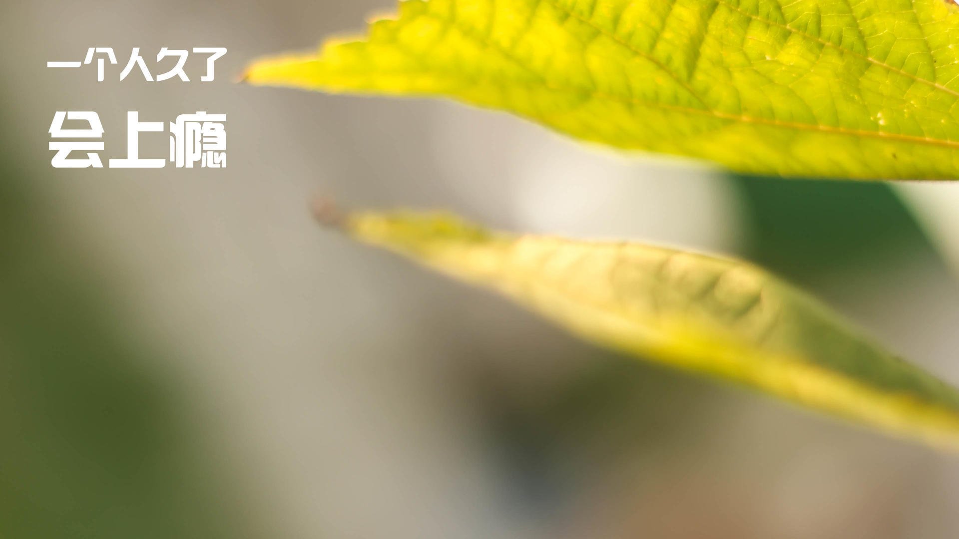 熊猫体育娱乐-数字化比赛裁判系统逐步普及，提升裁判公信力，裁判文书写作比赛